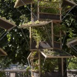 Jardins, jardin aux Tuileries 2015, les tendances du jardin urbain